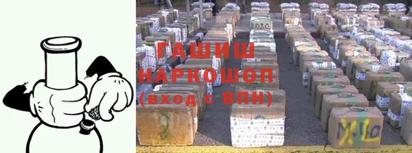 индика Володарск