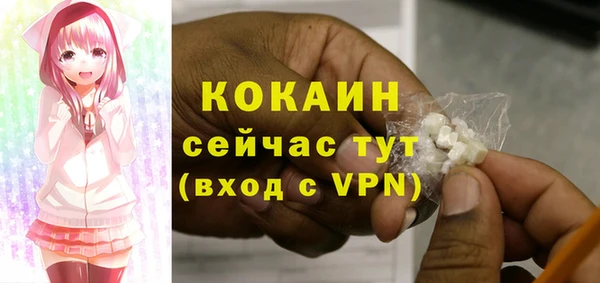 индика Володарск