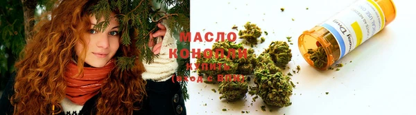 индика Володарск