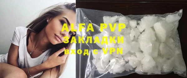 индика Володарск