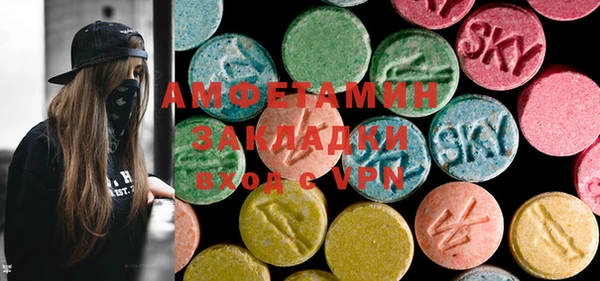 индика Володарск
