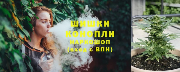 гашик Вязники