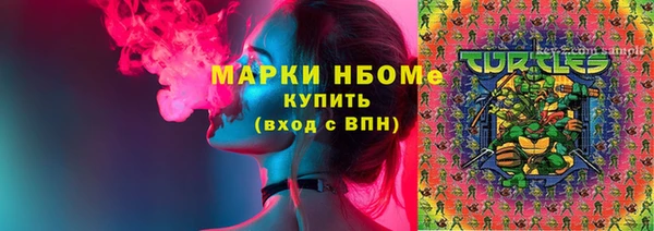 индика Володарск