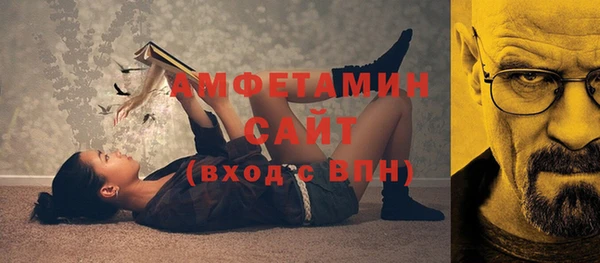 индика Володарск