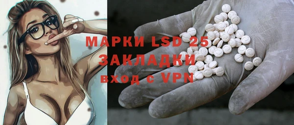индика Володарск